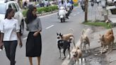 Telangana | Apex committee to be set up on stray dog menace