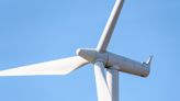 Researchers design highly efficient wind turbine mimicking bird wings: 'This bio-inspired design can increase the power output'