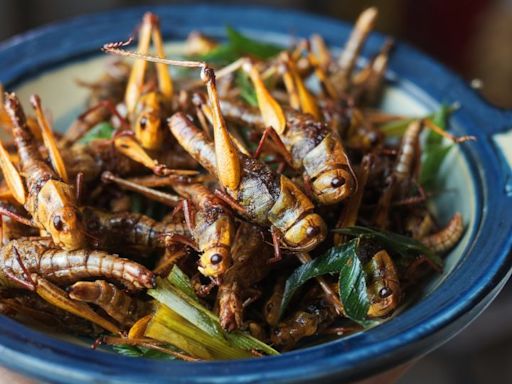 Silkworm satay? Singapore approves insects as food