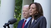 Democrats promise 'orderly process' to replace Biden, where Harris is favored but questions remain