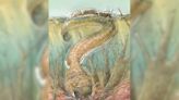 Big Salamander-Like Creature With Fangs Roamed Namibia 280 Million Years Ago