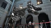 Shen the T. Rex Is Partly a Fraud, So Christie’s Is Cancelling the Multimillion-Dollar Auction