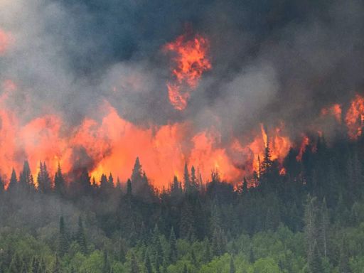 Devastating wildfires ravage Jasper, Alberta: Mass evacuations and international firefighting efforts - Times of India