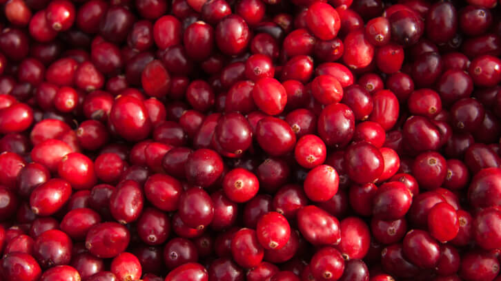 Ethical Naturals hails bumper harvest for Oregon cranberries
