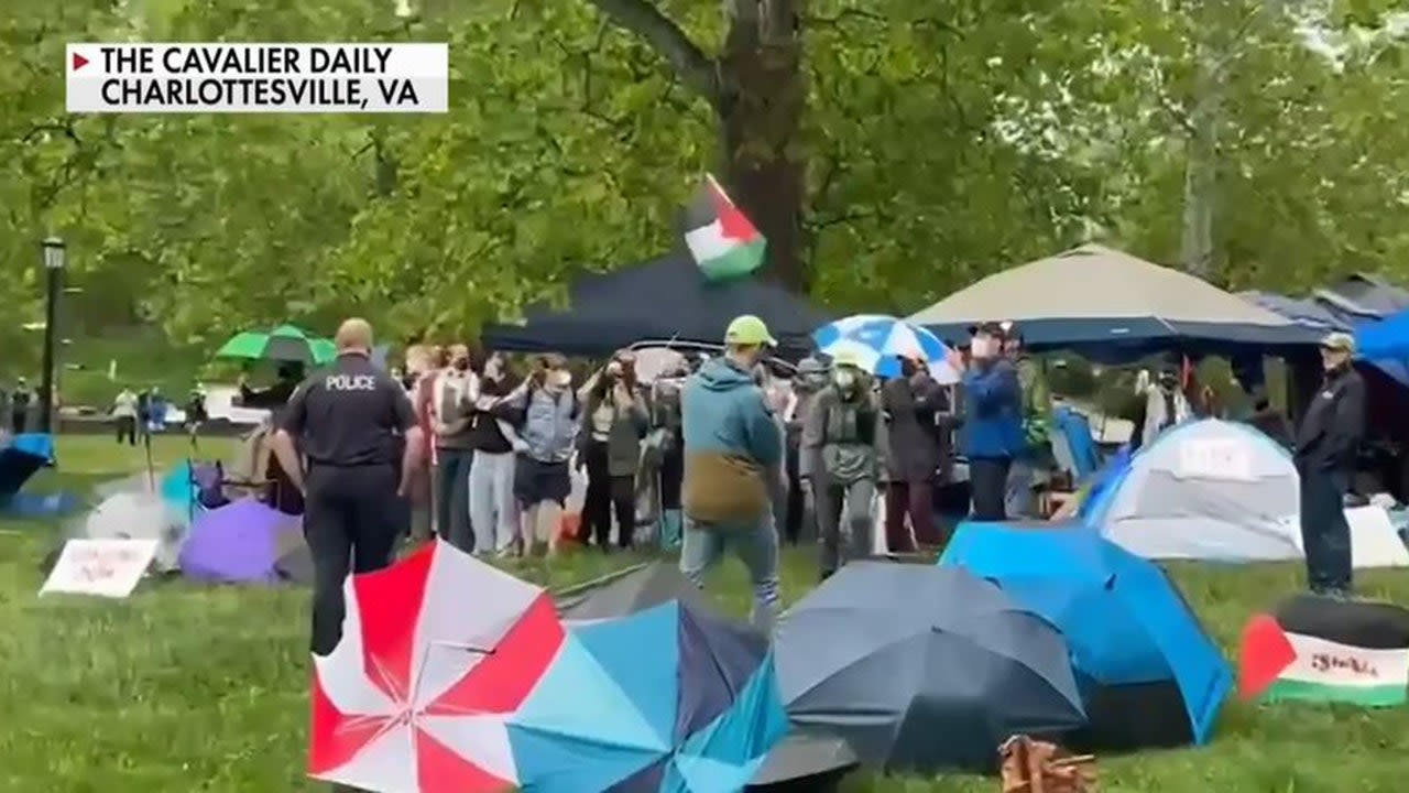 University of Virginia police arrest 25 anti-Israel protesters while trying to clear encampment