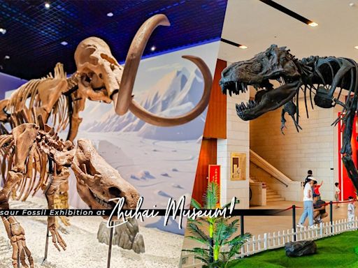 珠海博物館暑假期間限定：恐龍、古生物展覽！與恐龍化石親密接觸，穿越時空一睹史前冰河巨獸樂園 | 夏月 - Fly with Luna