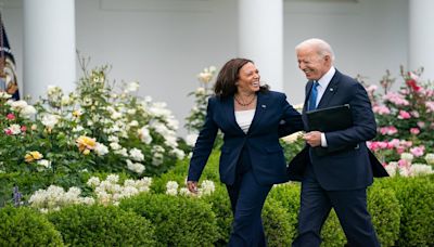 US Presidential Election 2024 LIVE: Kamala Harris says 'will do everything in power' to win election after Biden drops out