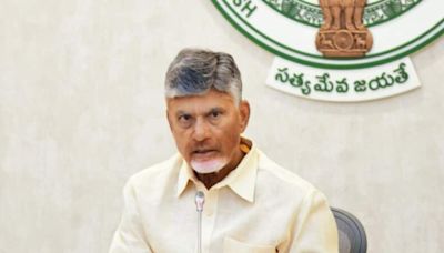 Andhra CM Naidu on mission mode during 2nd Delhi visit as Budget wishlist grows