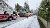 PHOTOS: B.C. digs out again after snow causes power, travel issues