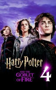 Harry Potter and the Goblet of Fire (film)