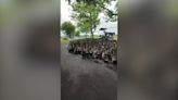 Hundreds of waddling ducks block road in Philippines before diving into field