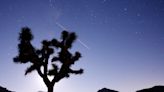 Bill spurs state commission to delay decision on protecting Joshua tree.