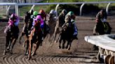 Santa Anita to install artificial training track as part of $31 million in renovations