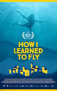 How I Learned to Fly