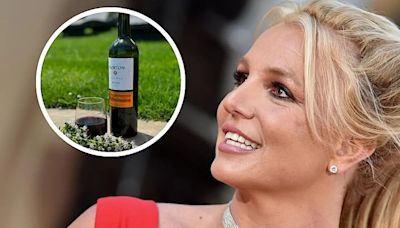 Britney Spears elogió a un Malbec mendocino y lo compartió en sus redes: cuál es la bodega que eligió | Economía