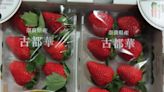 殘留農藥又違規 日本鮮草莓邊境監視查驗到年底