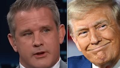 Adam Kinzinger's Way-Too-Specific Description Of Trump Body Odor Might Make You Gag