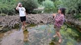 Off-roaders damage SLO County beaver dam as battle over Salinas River brews