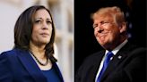 Trump claims Harris would 'abandon' Israel if she wins November polls, slams Jews supporting US VP