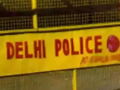 Delhi Traffic Police issues over 87,000 challans, three lakh notices for red light violations