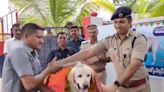 Watch: Telangana Police's Heartfelt Farewell To Dog Who Retired After11 Years Of Service - News18