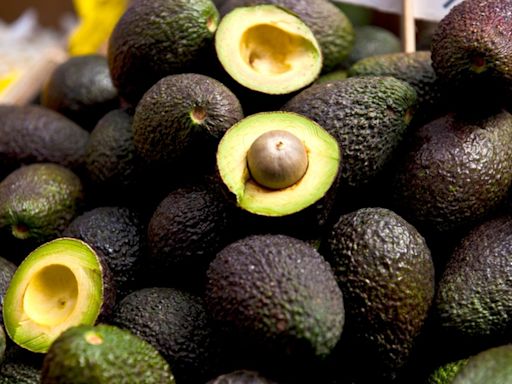 Japão abre mercado para avocado do Brasil