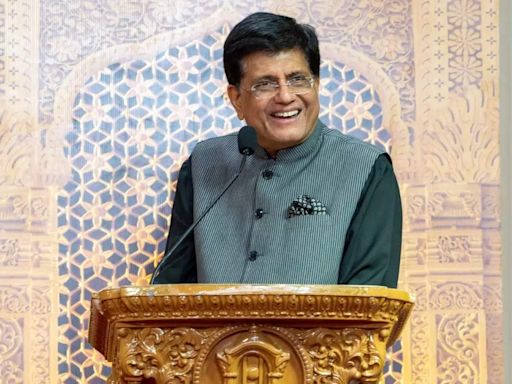 Piyush Goyal's US visit: India, America to discuss pact to boost collaboration in critical minerals - ET EnergyWorld