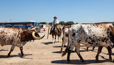 Q: “How will Stockyards expansion blend in with its Old West atmosphere?” What we know: