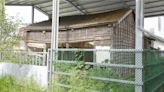 獅潭百年歷史建築「日式庄長宿舍」 獲中央補助2300萬元修復 - 寶島