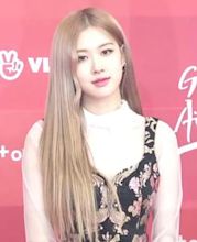 Rosé