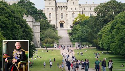 Extinction Rebellion idiots will hold 'mass' protest against King at Windsor