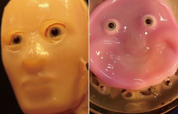 Japanese Scientists Create Smiling Robot with 'Living' Skin Using Collagen