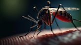 Cuáles son las razones detrás del descenso de los casos semanales de dengue, según los expertos