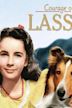El coraje de Lassie
