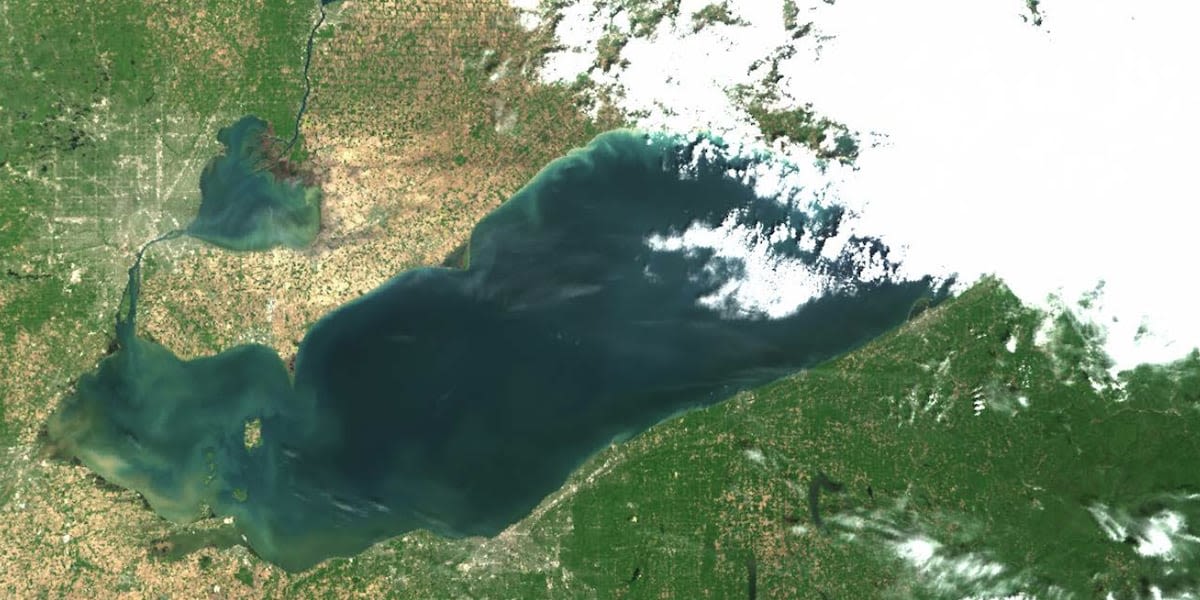 Nasty, green, slimy Lake Erie algal bloom forecast released by NCCOS