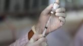 OMS desarrollará vacunas experimentales contra gripe H5N1