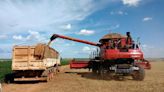 Operadores mundiales de granos proponen una empresa conjunta de transporte por carretera en Brasil