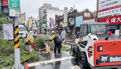 凱米強風豪雨致路樹倒塌招牌掉落 南市工務局緊急排除障礙恢復路況