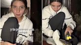 Joven rescata a ratón de una trampa y video se vuelve viral en TikTok