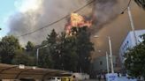La Grèce redoute une saison des feux de forêt «difficile» et dévastatrice cet été
