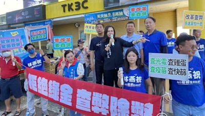 南部七縣市同步街講 謝龍介：支持國會改革就是反對黑金 | 政治 | Newtalk新聞