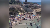 WATCH: Sea lions chase California beachgoers