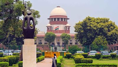 Don’t shield anyone, Supreme Court tells DDA on LG’s role in felling of trees