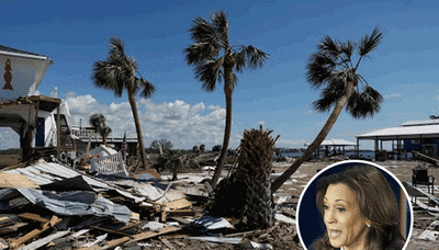 US Presidential elections: Kamala Harris cuts campaign trip short for Hurricane Helene briefings