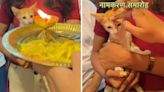 Beauty brand holds ‘naamkaran’ ceremony for office kitten. Video is too cute to miss