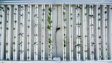 Four myths about vertical farming debunked by an expert