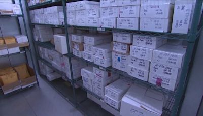 Significant progress made on processing sexual assault kits in West Tennessee
