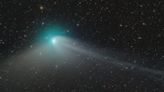 See the rare green comet in pictures so you know what to look for in the sky