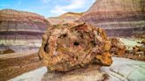 Petrified Forest National Park in Eastern Arizona