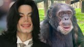 Michael Jackson Would Be Happy With Bubbles the Chimp's Life, Says Sanctuary